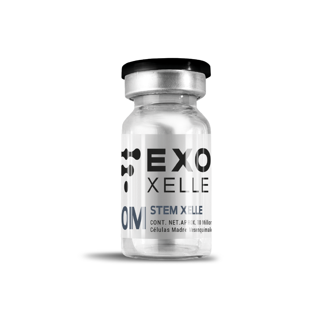 CÉLULAS MADRE